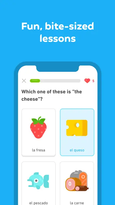 Duolingo Language Lessons 5