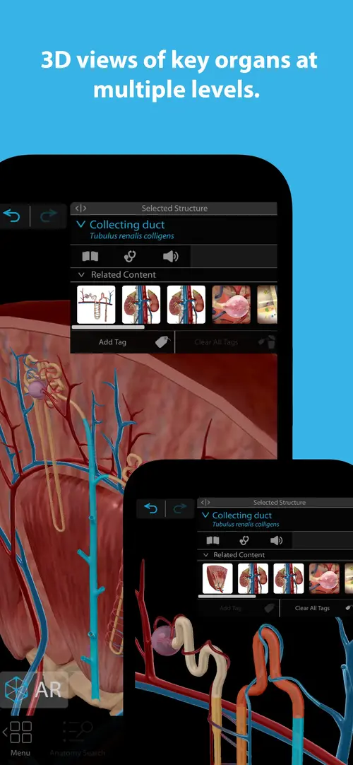 Human Anatomy Atlas 2025 MOD APK 2