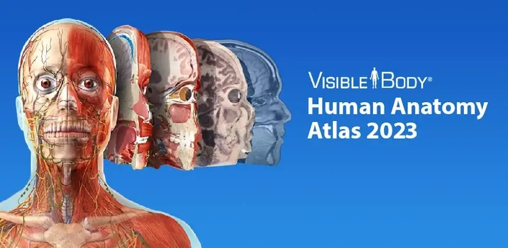 Human Anatomy Atlas