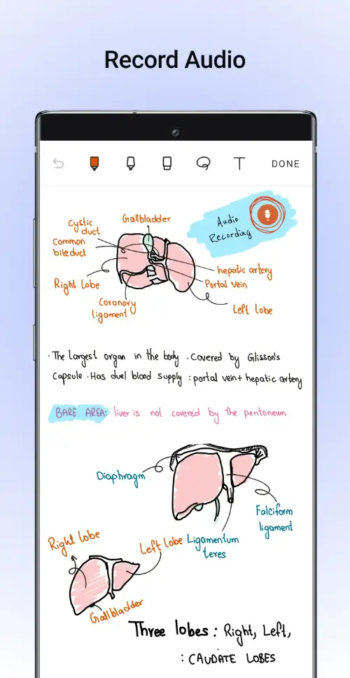 Noteshelf MOD APK 5