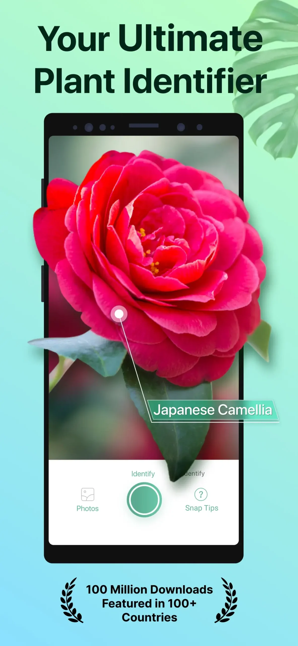 PictureThis MOD APK 1
