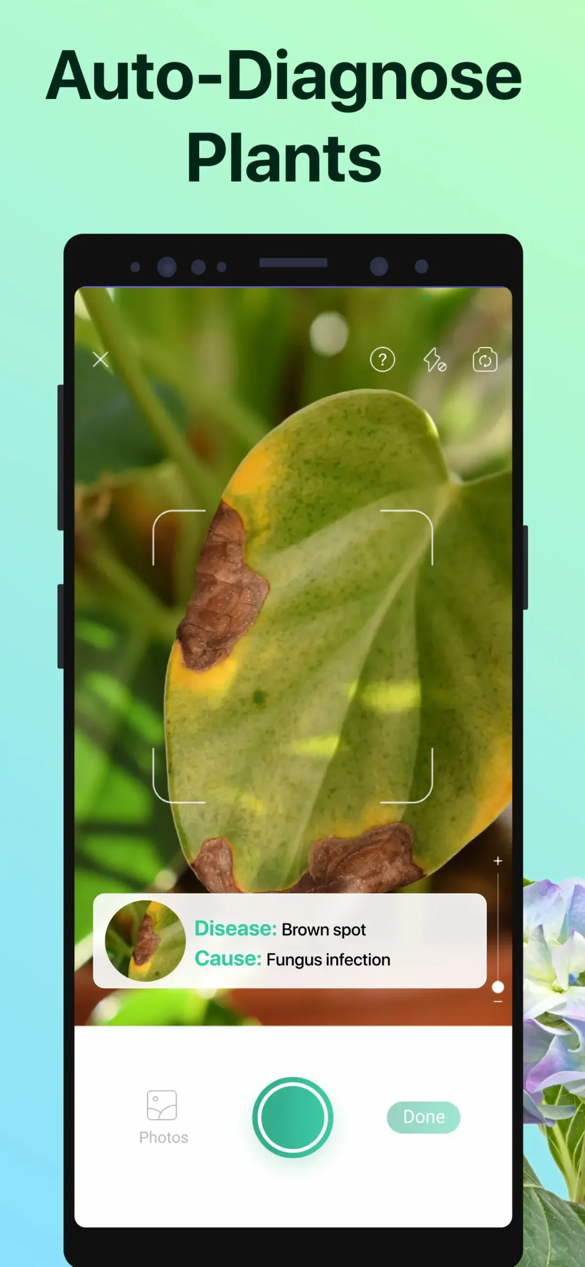 PictureThis MOD APK 4