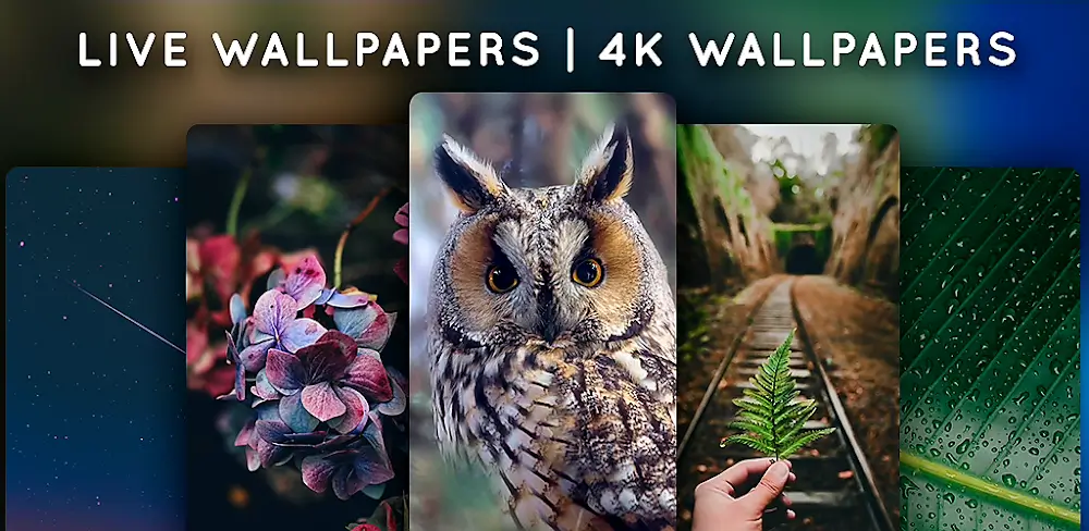 Live Wallpapers