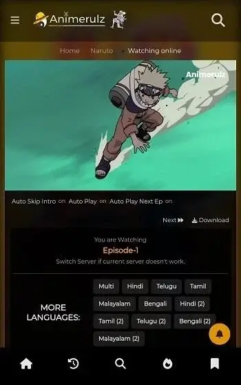 Animerulz 1