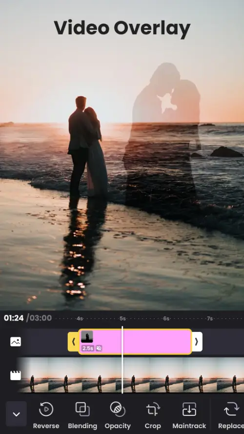 Vidma Editor MOD APK 3