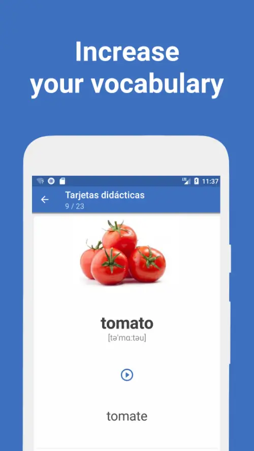 Words Learn Languages MOD APK 3