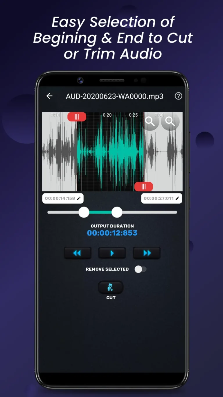 Audio Video Manager MOD APK 2