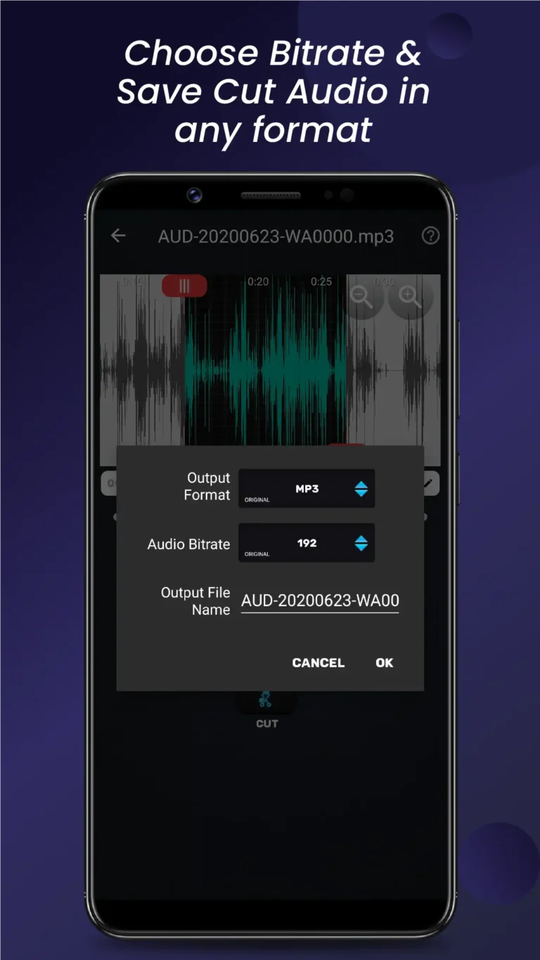 Audio Video Manager MOD APK 3
