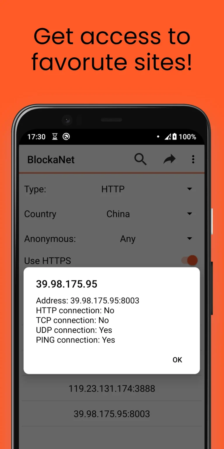 BlockaNet MOD APK 5
