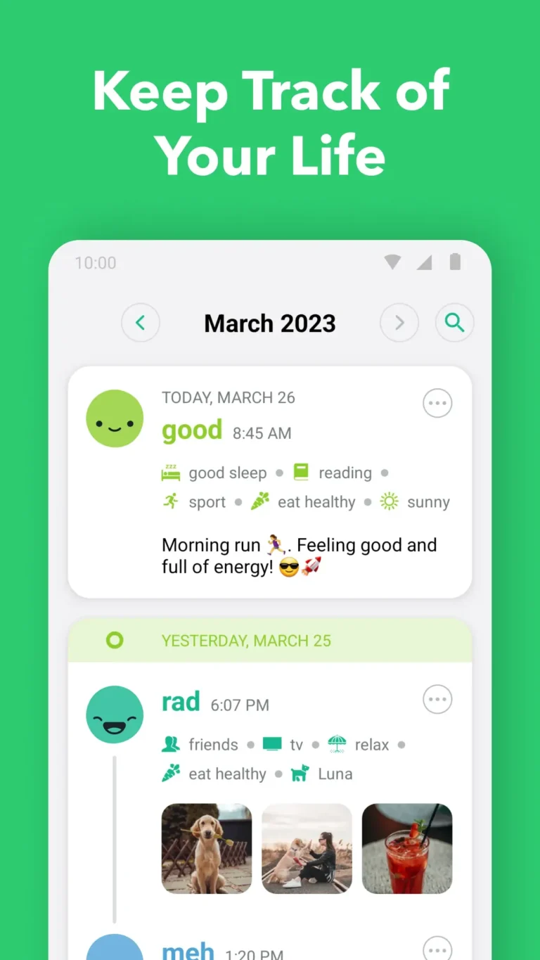 Daylio Journal MOD APK 4