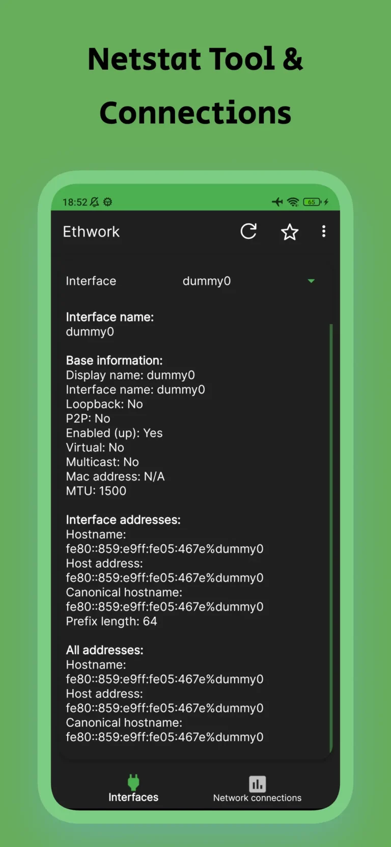 Ethwork Netstat & Interfaces MOD APK 2