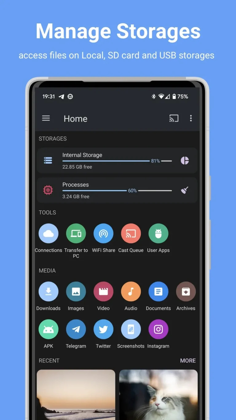 File Manager Pro MOD APK 1
