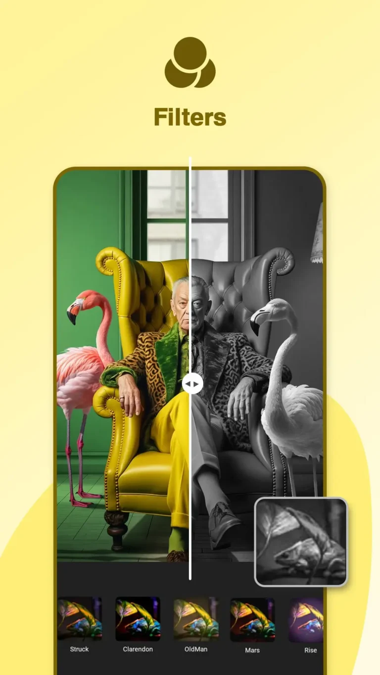 Gallery Photo Editor MOD APK 2