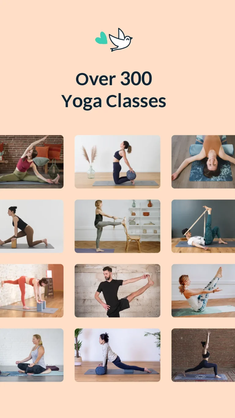 Gotta Yoga MOD APK 2