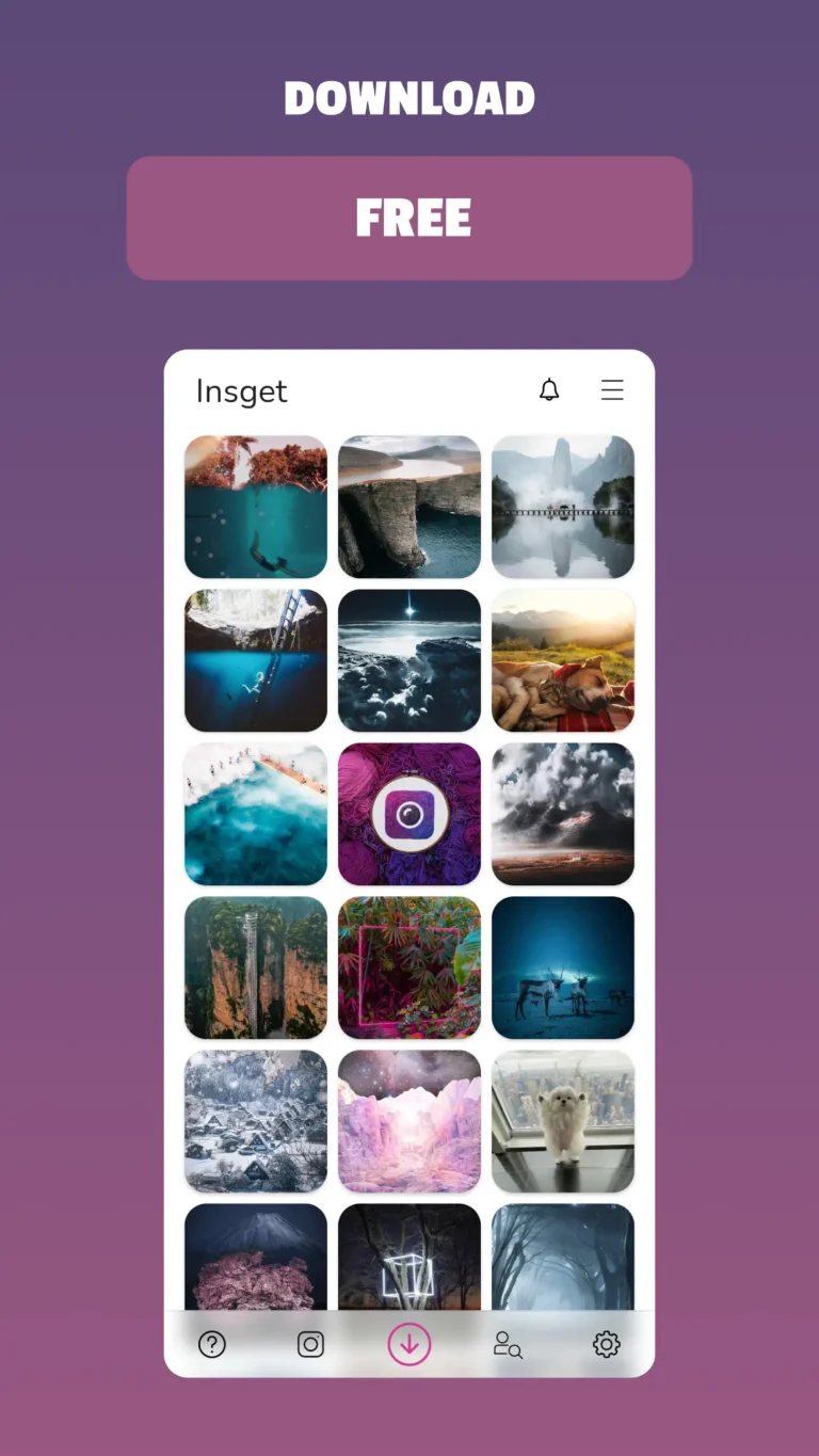 Insget Instagram Downloader MOD APK 1