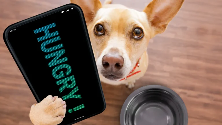 LED Scroller MOD APK 3