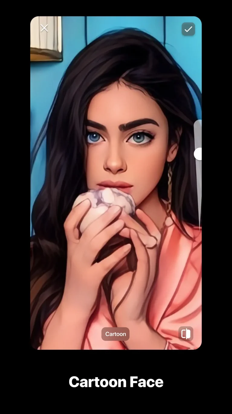 Persona Beauty Camera MOD APK 5