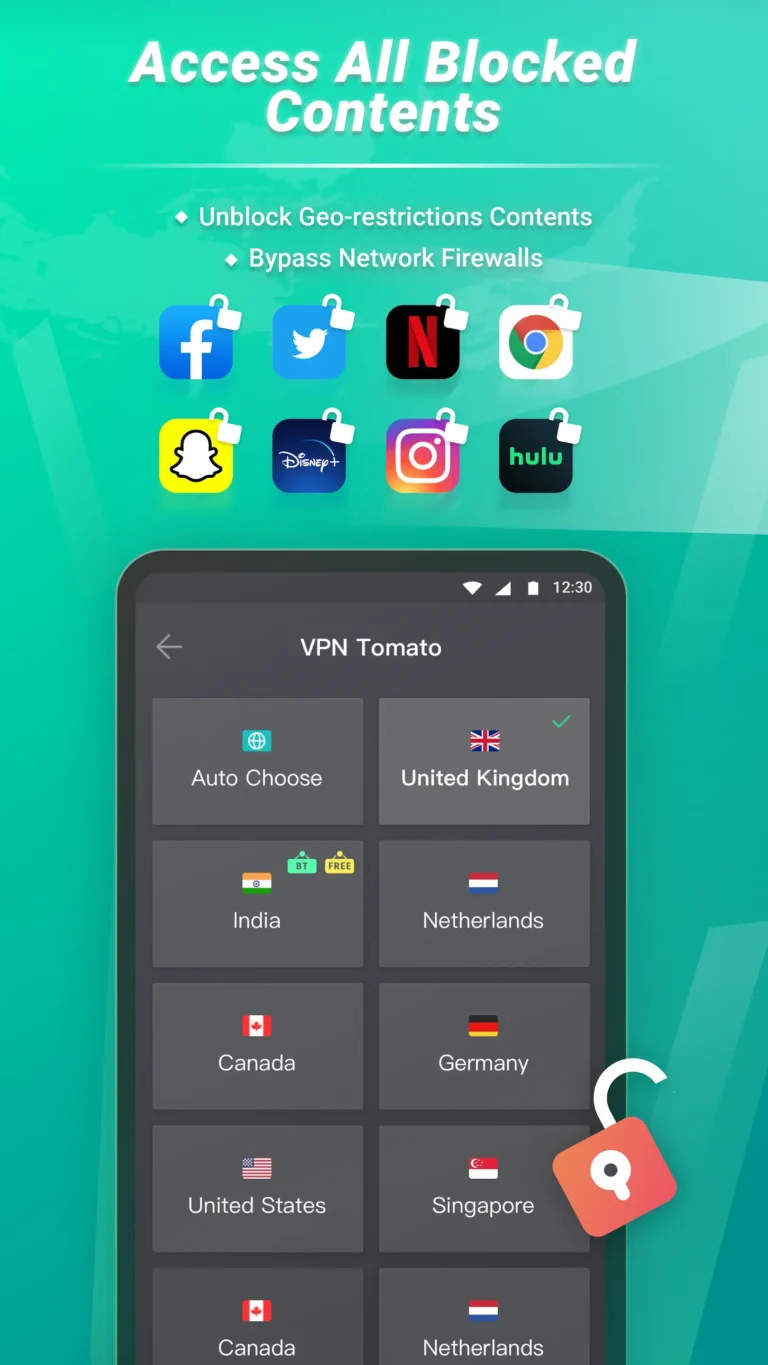 Tomato VPN MOD APK 4